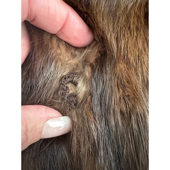 Glamours vintage mink jacket by Morris B.
Sachs women's SZ- S-M APPROX - Picture 9 of 9